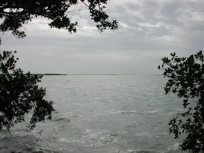 DSCN2479 (Large).JPG